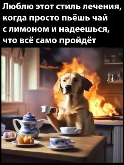 Выходные + смешные мемы = идеальное настроение! Забудь, самые, Проведи, позитива, заряд, подарят, настроение, поднимут, гарантированно, которые, уморительные, отобрали, скуку, тщательно, смехом, искренним, эмоциями, яркими, наполнены, будут