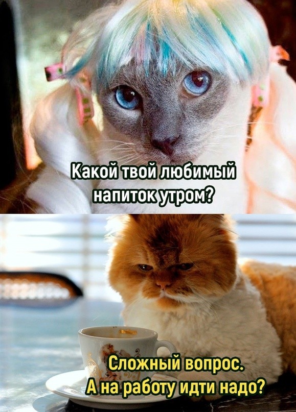 Лучший сборник мемов и картинок с юмором для вашего позитивного старта! Лучший сборник мемов и картинок с юмором для вашего позитивного старта! самые, которые, позитива, настроение, надписями, Устали, уверены, заряд, миромГарантированный, окружающими, собой, посмеяться, любит, жизни, случаи, просмотра, деньЮмор, сделать, может, слово