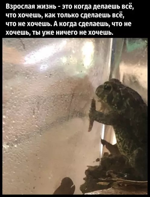 картинка 8423ab0ded 20869630