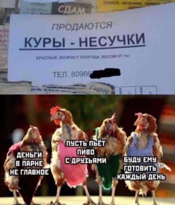 картинка 846b72d925 20881872