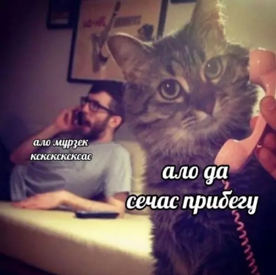 картинка 856049aad4 vnimanie vzroslye gotovtes k doze chernogo jumora kotoryj ne ostavit ravnodushnym nikogo 1