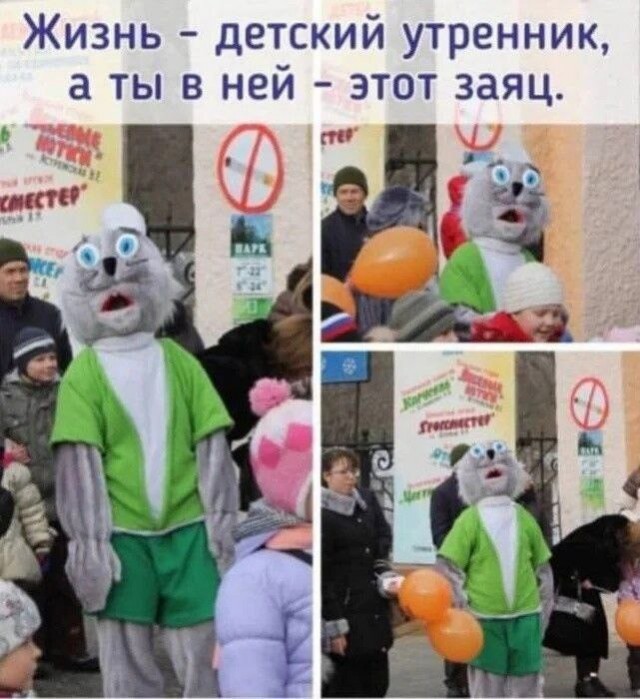 картинка 86a90b9725 20869380