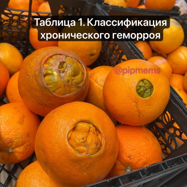 Лучшие шутки в мемах: сборник позитива для вашего дня! Забудьте, настроение, готовы, снова, смеха, минут, хмурый, самый, улыбнуться, заставят, поднимут, суете, которые, картинок, забавных, мемов, смешных, сборник, большой, собрали