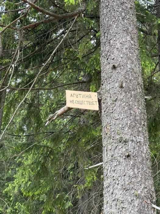 картинка 89e9fbd483 20869474