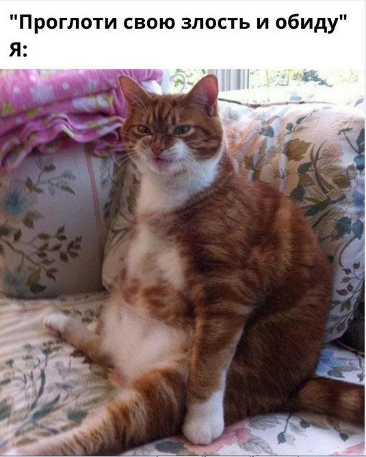 картинка 8b5f039aa0 20848885