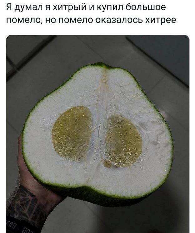 Улыбнитесь шире: Ваш идеальный сборник приколов для выходных! сборник, самые, станет, выходные, позитива, чтобы, Устали, каждый, Пусть, веселья, беззаботного, билет, праздником, личный, взрыву, Готовьтесь, вперед, неделю, энергией, позитивной