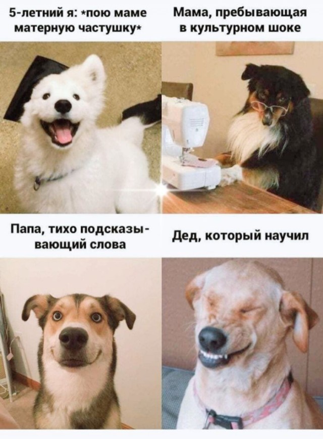 картинка 8c77d43187 20901267