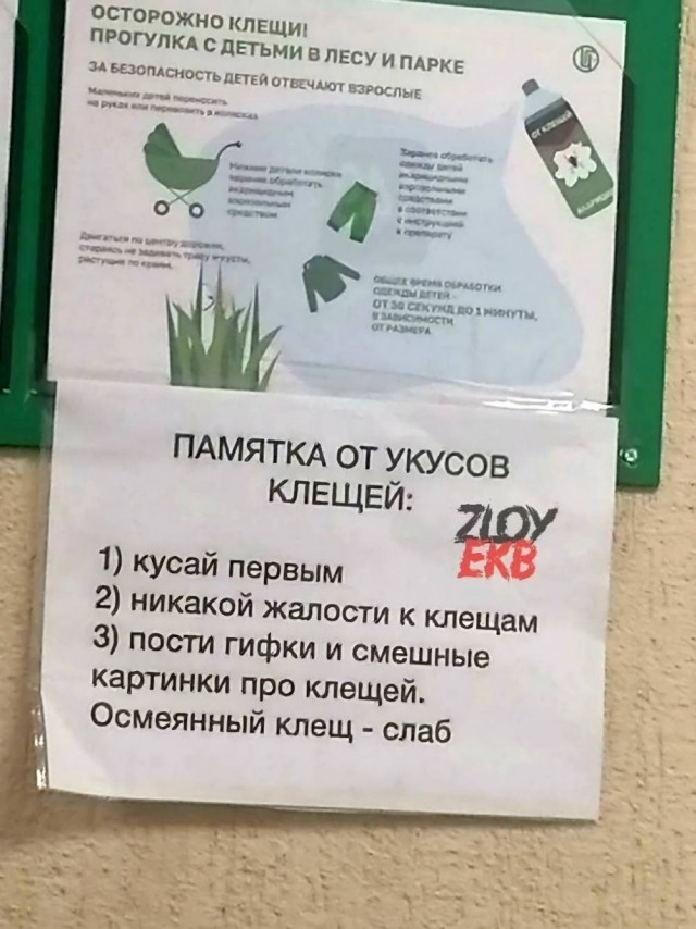 Улыбнитесь шире! Новый сборник шуток и приколов уже здесь, чтобы поднять вам настроение! каждая, Тогда, настроения, Устали, поездку, Готовы, веселья, искреннего, минут, несколько, подарят, просто, скрасят, скучную, смеха, тяжелого, после, расслабиться, помогут, ситуации