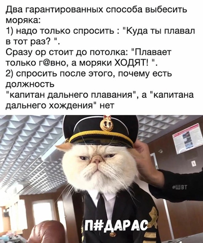 Лучший сборник мемов и картинок с юмором для вашего позитивного старта! Лучший сборник мемов и картинок с юмором для вашего позитивного старта! самые, которые, позитива, настроение, надписями, Устали, уверены, заряд, миромГарантированный, окружающими, собой, посмеяться, любит, жизни, случаи, просмотра, деньЮмор, сделать, может, слово