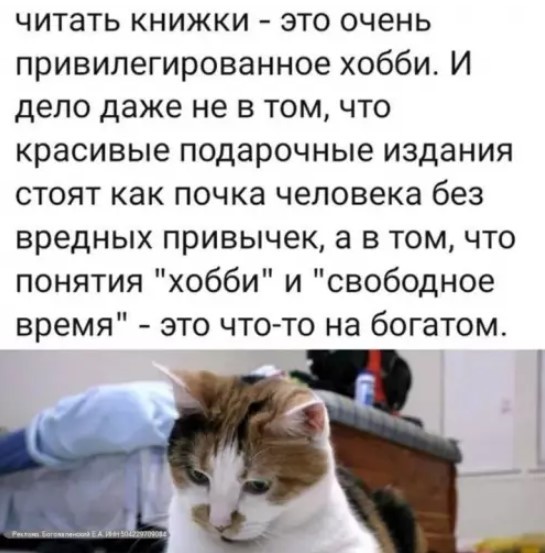 Улыбнитесь шире! Новый сборник шуток и приколов уже здесь, чтобы поднять вам настроение! каждая, Тогда, настроения, Устали, поездку, Готовы, веселья, искреннего, минут, несколько, подарят, просто, скрасят, скучную, смеха, тяжелого, после, расслабиться, помогут, ситуации