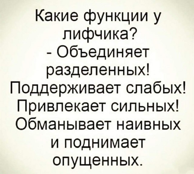 картинка 916442d473 20891057