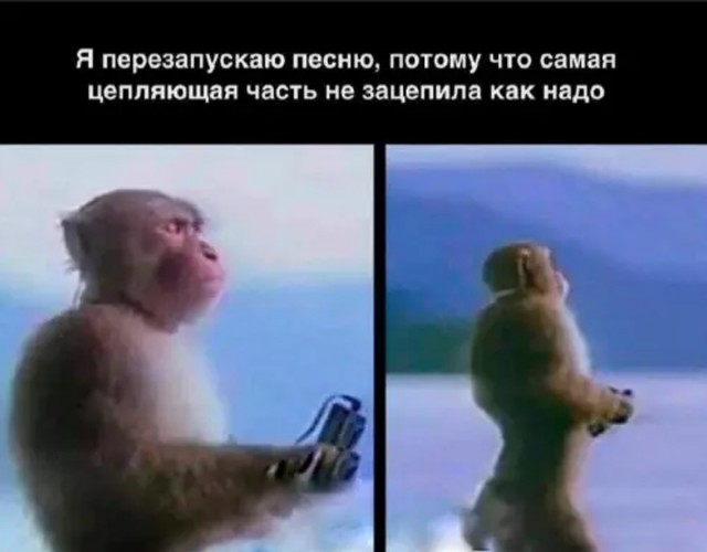 картинка 91bc20d3db 20920763