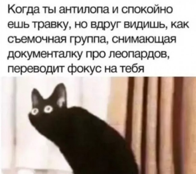 Ура, выходные! 🎉 Время отдохнуть, расслабиться и зарядиться позитивом. может, которые, только, будет, дальше, смеха, взрыву, Готовьтесь, хохотать, улыбнуться, заставят, точно, надписями, лучше, картинки, лучшие, самыесамые, собрали, шуток, уморительных