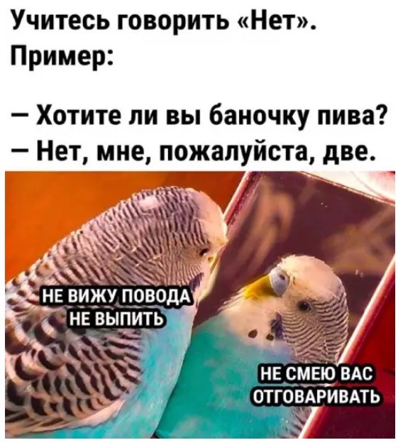 Улыбнитесь шире! Новый сборник шуток и приколов уже здесь, чтобы поднять вам настроение! каждая, Тогда, настроения, Устали, поездку, Готовы, веселья, искреннего, минут, несколько, подарят, просто, скрасят, скучную, смеха, тяжелого, после, расслабиться, помогут, ситуации