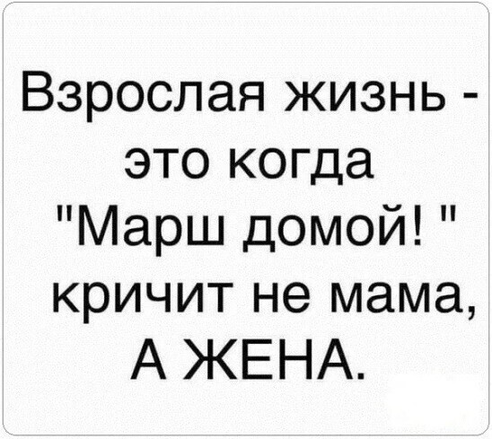 картинка 940e1c9f05 20845784