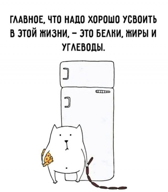 Лучшие мемы ушедшей недели: Зарядись позитивом! чтобы, качестве, каждый, точно, каждой, мемов, Устали, подобрали, настроения, поднятие, всёГарантированное, охватили, попкультуры, политики, отношений, ситуаций, повседневных, днейРазнообразие, последние, интернете