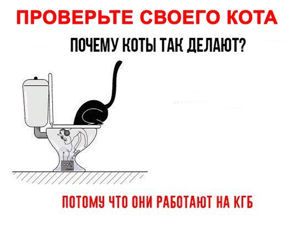 Ура, пятница! 🥳 Заряд позитива для идеального начала выходных пятница, смешных, пятницу, сделают, точно, шутки, настроения, хорошего, заряду, Приготовьтесь, позитивных, надписями, картинок, мемов, самых, неделю, порцию, новую, подготовили, позитивным