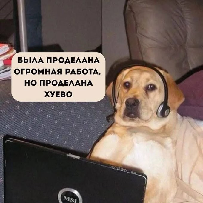 картинка 9640945f35 gotovy k porcii derzkogo ostrogo i neprilichnogo jumora 16