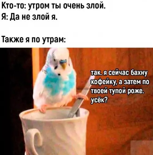 картинка 966f3bc6c4 20869660