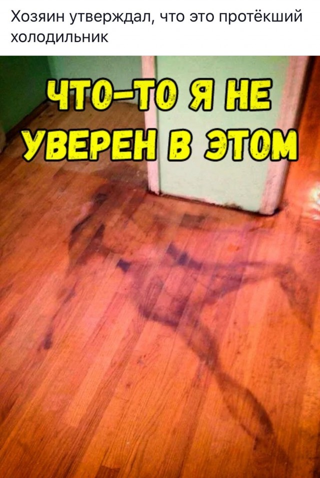 картинка 968c1f5015 20881126