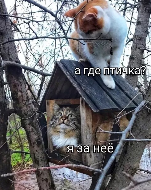 картинка 96922c8878 20868834