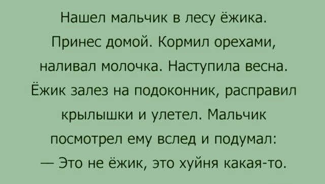 картинка 96bf0582a6 20883489