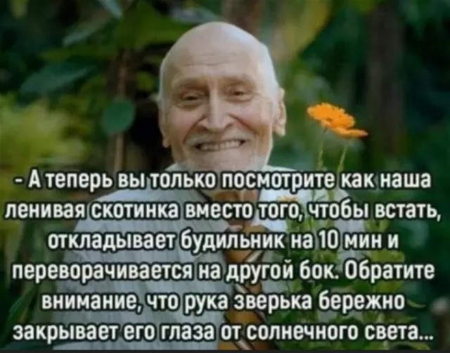 картинка 9cb57d6d76 20920766