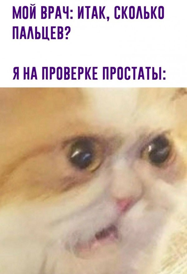 Лучший сборник мемов и картинок с юмором для вашего позитивного старта! Лучший сборник мемов и картинок с юмором для вашего позитивного старта! самые, которые, позитива, настроение, надписями, Устали, уверены, заряд, миромГарантированный, окружающими, собой, посмеяться, любит, жизни, случаи, просмотра, деньЮмор, сделать, может, слово