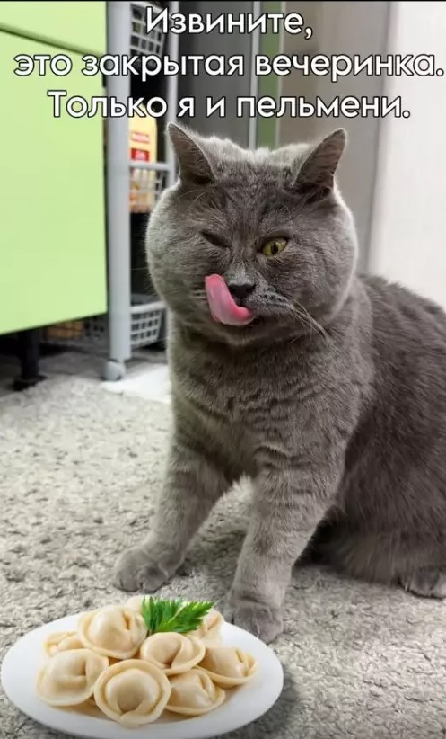 картинка 9d8adfcb6e chernyj jumor i poshlye prikoly dlja cenitelej 2