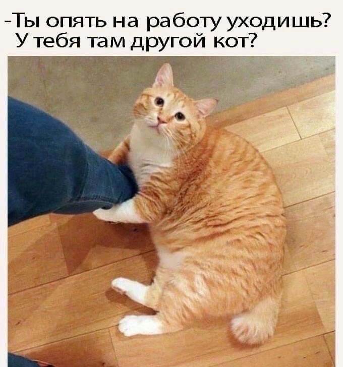 Пятница — время смеяться! Уморительная подборка мемов для отличного настроения 🎉 друзья, картинок, рабочей, долгой, после, настроение, поднимет, точно, подборка, смеяться, Готовьтесь, надписями, мемов, пятница, уморительных, порцию, свежую, самую, собрали, позитивным