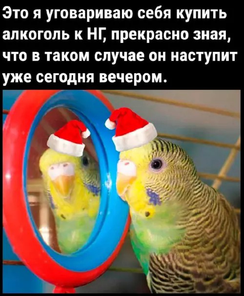 картинка 9f987dac77 20920785