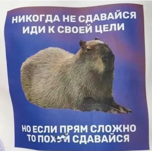 картинка a027dacee4 chernyj jumor i poshlye prikoly dlja cenitelej 8