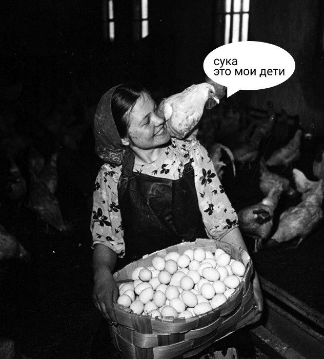 картинка a0fad21bc2 vnimanie vzroslye gotovtes k doze chernogo jumora kotoryj ne ostavit ravnodushnym nikogo 6