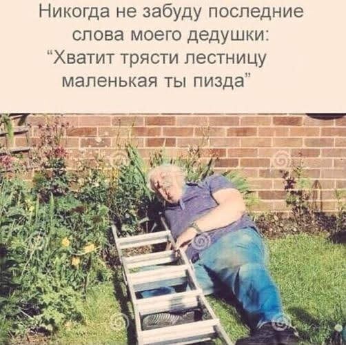 картинка a22ea6c724 20883491