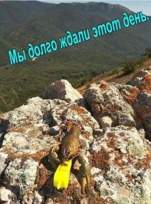 картинка a23b815e1a 20870224