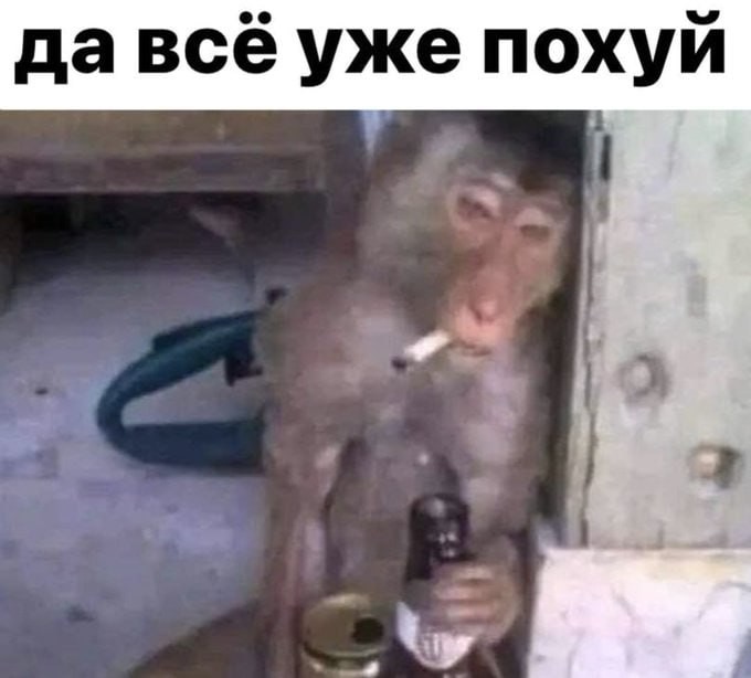 картинка a3b60af5b5 vnimanie jumor ne dlja vseh 6