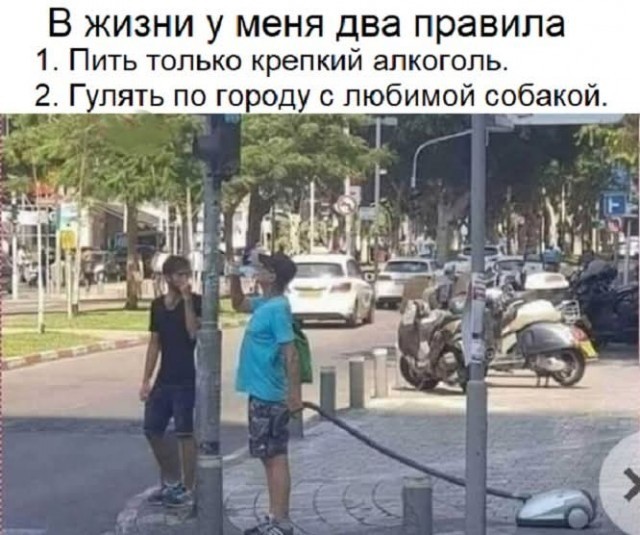 Пятница — время смеяться! Уморительная подборка мемов для отличного настроения 🎉 друзья, картинок, рабочей, долгой, после, настроение, поднимет, точно, подборка, смеяться, Готовьтесь, надписями, мемов, пятница, уморительных, порцию, свежую, самую, собрали, позитивным