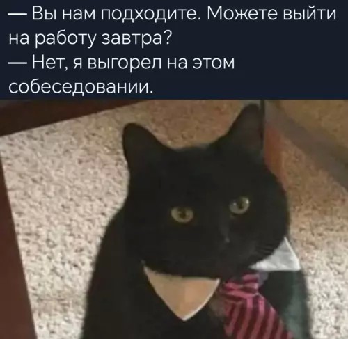 Лучшие шутки в мемах: сборник позитива для вашего дня! Забудьте, настроение, готовы, снова, смеха, минут, хмурый, самый, улыбнуться, заставят, поднимут, суете, которые, картинок, забавных, мемов, смешных, сборник, большой, собрали