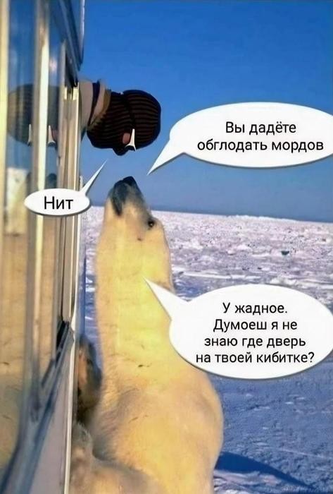 картинка a4b873bb01 20903687