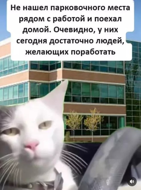 картинка a5cda8efd9 20869629