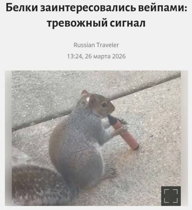 Понедельник не так уж и страшен! 😉 неделю, понедельник, Привет, получайте, 😊Готовы, зарядиться, позитивом, Тогда, теряйте, времени, листайте, дальше, смеха, утреннего, хорошим, 😄🤣Пусть, станет, «тяжёлым, стартом», ярким