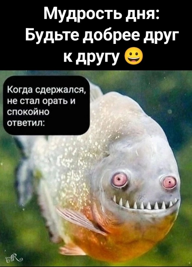 картинка a75d75a631 20885141