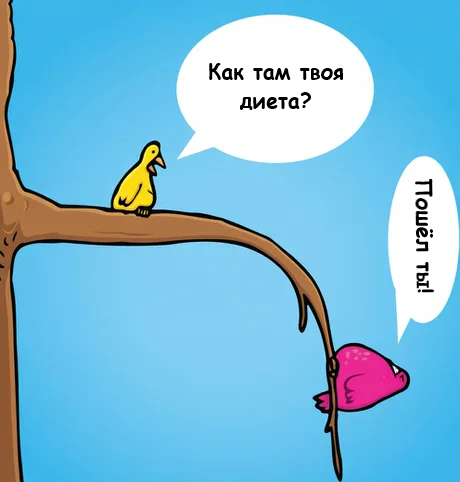 картинка a9f1d854e6 00000