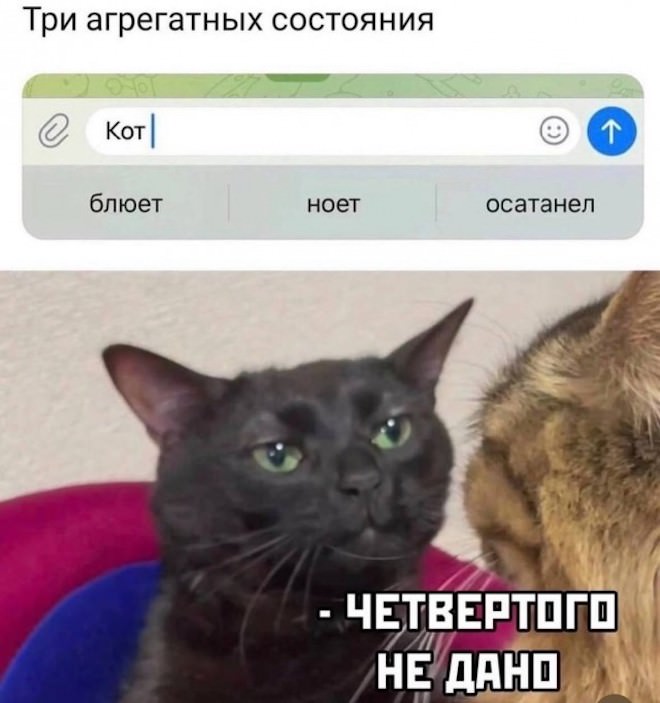 картинка aa502e10e9 ulybnites shire podborka pozitiva kotoraja tochno podnimet nastroenie 10