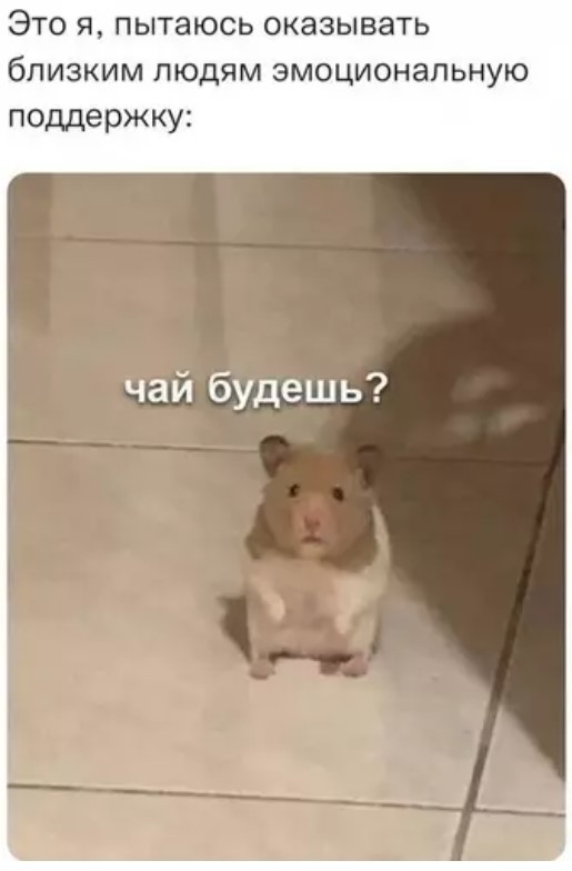 Улыбнитесь шире! Новый сборник шуток и приколов уже здесь, чтобы поднять вам настроение! каждая, Тогда, настроения, Устали, поездку, Готовы, веселья, искреннего, минут, несколько, подарят, просто, скрасят, скучную, смеха, тяжелого, после, расслабиться, помогут, ситуации