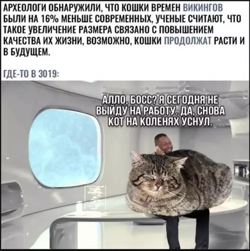 Понедельник не так уж и страшен! 😉 неделю, понедельник, Привет, получайте, 😊Готовы, зарядиться, позитивом, Тогда, теряйте, времени, листайте, дальше, смеха, утреннего, хорошим, 😄🤣Пусть, станет, «тяжёлым, стартом», ярким