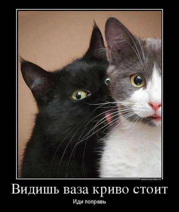 Островки юмора в бурю проблем: подборка мемов и остроумных комментариев для поднятия настроения самые, расслабиться, позитива, моменты, улыбку, юмора, улыбнуться, подарят, комментарий, шутка, каждый, пусть, дальше, листайте, Тогда, Бывают, Готовы, смеха, доктором, персональным