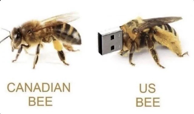 картинка af17eaa595 20903160