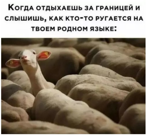 картинка af610d8e9c ura pjatnica zarjazhaemsja pozitivom pered vyhodnymi 9