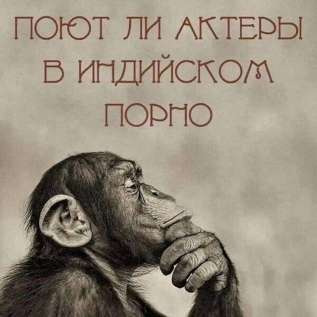 Устали от будней? Хочется улыбнуться? Тогда вам сюда! собрали, просто, делитесь, смейтесь, Листайте, позитива, настроение, отличное, Гарантируем, наслаждайтесь, заботах, свежую, Забудьте, надписями, картинках, мемах, юмора, отборного, самого, порцию